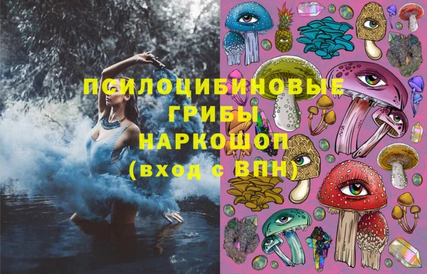 гашик Балахна