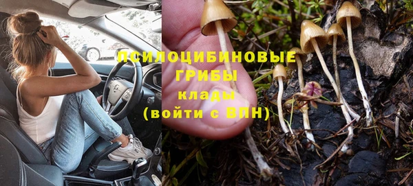 гашик Балахна