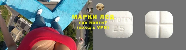 ПСИЛОЦИБИНОВЫЕ ГРИБЫ Баксан