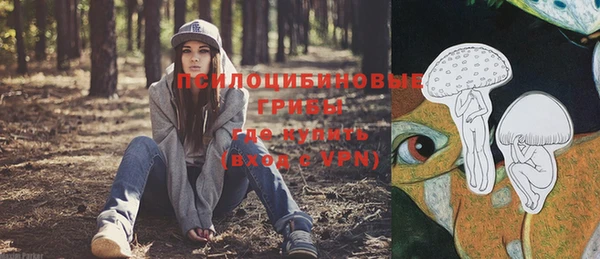 гашик Балахна